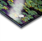 On The Pond Acrylic print