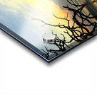 The Last Little Blue at Sunset Acrylic print