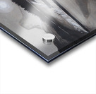 Stand Tall and Cast a Long Shadow Acrylic print