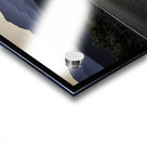 DJ 05310 Print Acrylic print