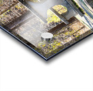 Mistletoe State Park   Appling GA 4801 Acrylic print