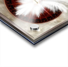 Angel Wings Snowflake Fractal Art Composition by Xzendor7 Acrylic print