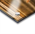 IMG_1320 Acrylic print