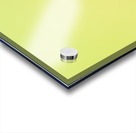 IMG_1279 Acrylic print