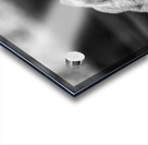 IMG_1324 Acrylic print