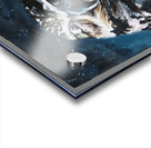 Night Owl Acrylic print