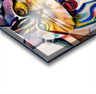 25A45827 52DC 45C5 9C0F D8690AB0EC77 Acrylic print