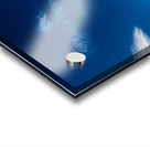 Fossil Acrylic print