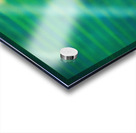 Marcus Dupree First Oklahoma Touchdown Acrylic print