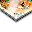 25F7B8FD DF37 4DC0 8B3A 08A5750571D5 Acrylic print