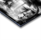 Ship in a Bottle  B&W Acrylic print