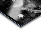 Pears  B&W Acrylic print