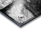 Tree in Field  B&W Acrylic print