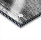 The Beach B&W Acrylic print