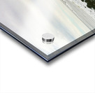 Montauk On Mushrooms Acrylic print