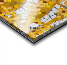 Autumn Birches Acrylic print