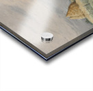 Landscape of a village Acrylic print