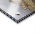 Moonrise Acrylic print