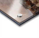 A woman in a carrige Acrylic print