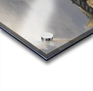 Rainbow in the sky Acrylic print