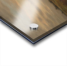 Field in sunset Acrylic print