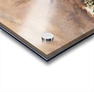 Windmill in the wind Acrylic print