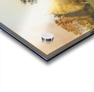 Summer morning on a field Acrylic print