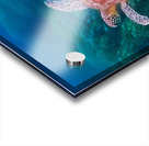 4FA62F86 4961 4717 943D BC42CFB8ABDB Acrylic print