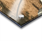 Arabian Oryx: Dubai United Arab Emirates Acrylic print