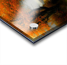 Autumn no.4 Acrylic print