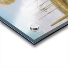 Ascent in Lunardi Acrylic print