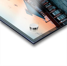 85D6713C F679 4DA6 B69A FD90E5088077 Acrylic print