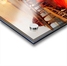 A136D23F 89A7 4DAE B864 892FDEBAAFAB Acrylic print