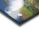 Segall  Acrylic print