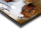 art   lion x3  AAA2 Acrylic print