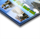 art tefilin army 2 Impression Acrylique