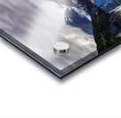 John Hopkins Glacier I- Alaska Acrylic print