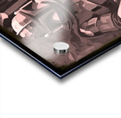 Black and White Mando Acrylic print