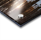 Lumiere de la foret Acrylic print