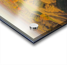 US ROCHESTER RED BARN TOWER SILOS CORN FIELD ROCH Acrylic print