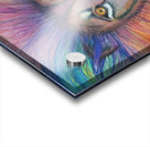 Lion of Judah  Acrylic print