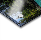  Capturing the Power: Rushing Waters at 6th Bridge Acrylic print