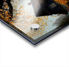 Autumn no.25 Acrylic print