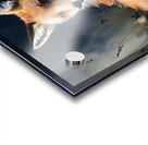 Wild no.12 Acrylic print