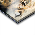 Wild no.18 Acrylic print