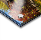 Autumn Beauty at Boffin Gardens Acrylic print