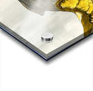 Golden River II Acrylic print