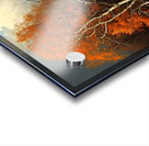 Autumn no.76 Acrylic print