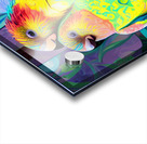 Love Birds Acrylic print