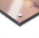 A day in Venice Acrylic print